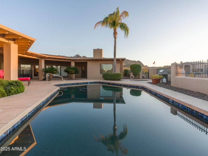 Ultimate Backyard Privacy