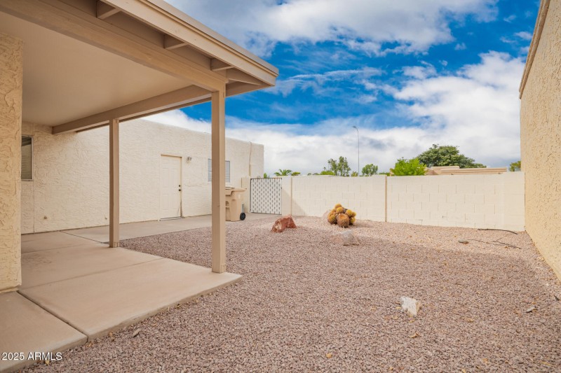 27 - Citrus Backyard