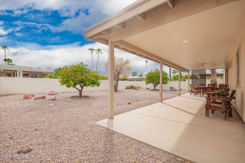 28 - Citrus Backyard