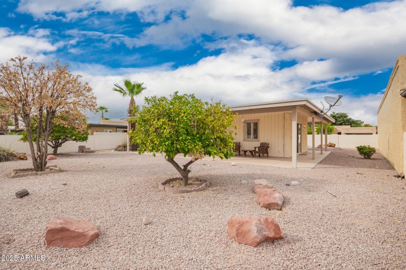 29 - Citrus Backyard