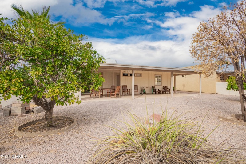 31 - Citrus Backyard