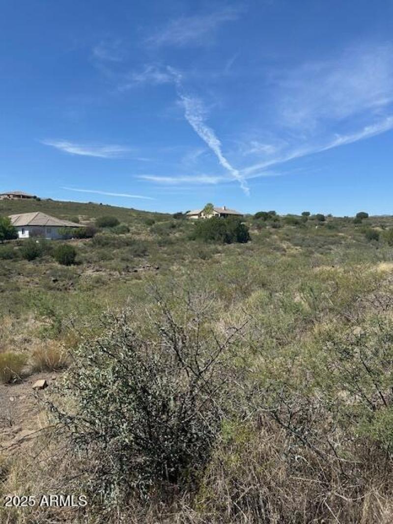 Imagine the sunsets and sunrises!