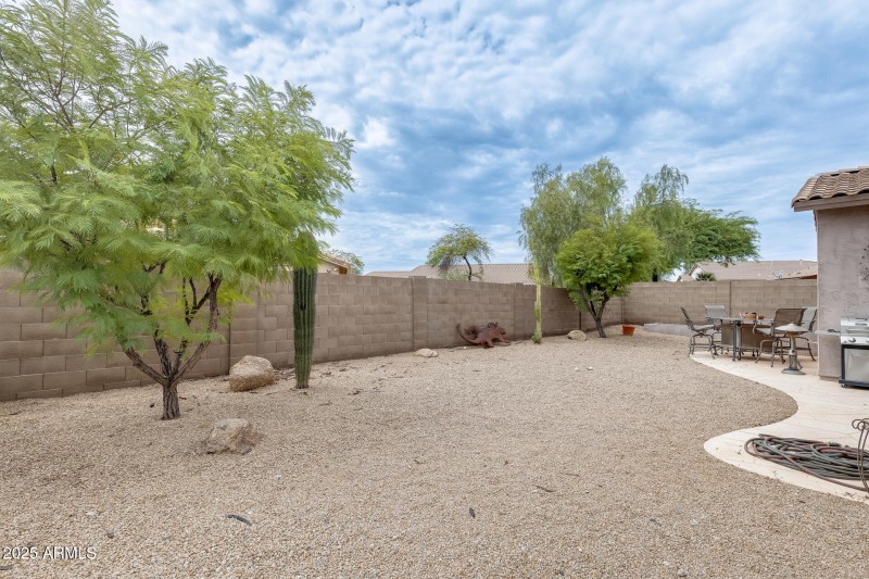 Low Maintenance Yard