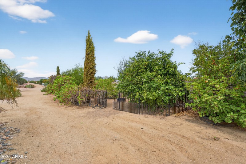 Garden with established fruit trees