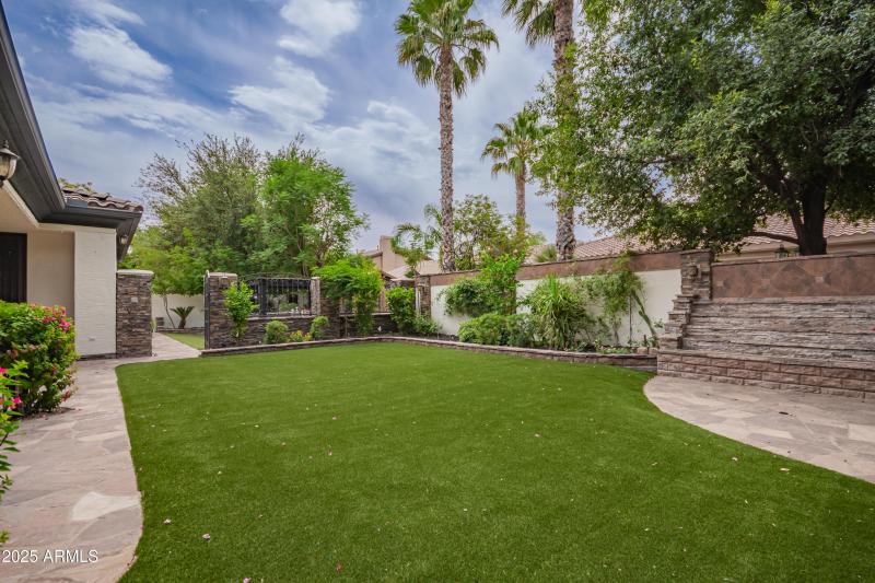 683c77_38 - Buckboard