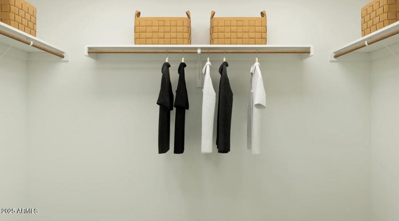 Owners Walk in Closet