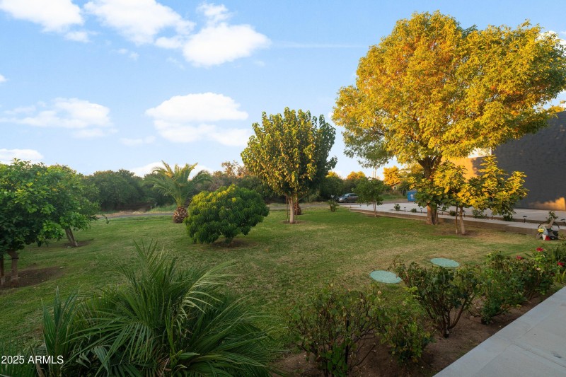 010-17735-E-Mews-Rd-11