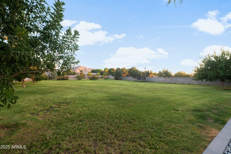 095-17735-E-Mews-Rd-96