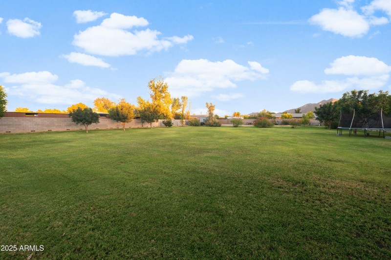 096-17735-E-Mews-Rd-97