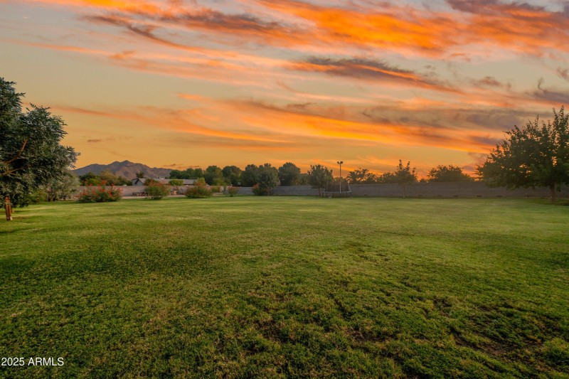 097-17735-E-Mews-Rd-98