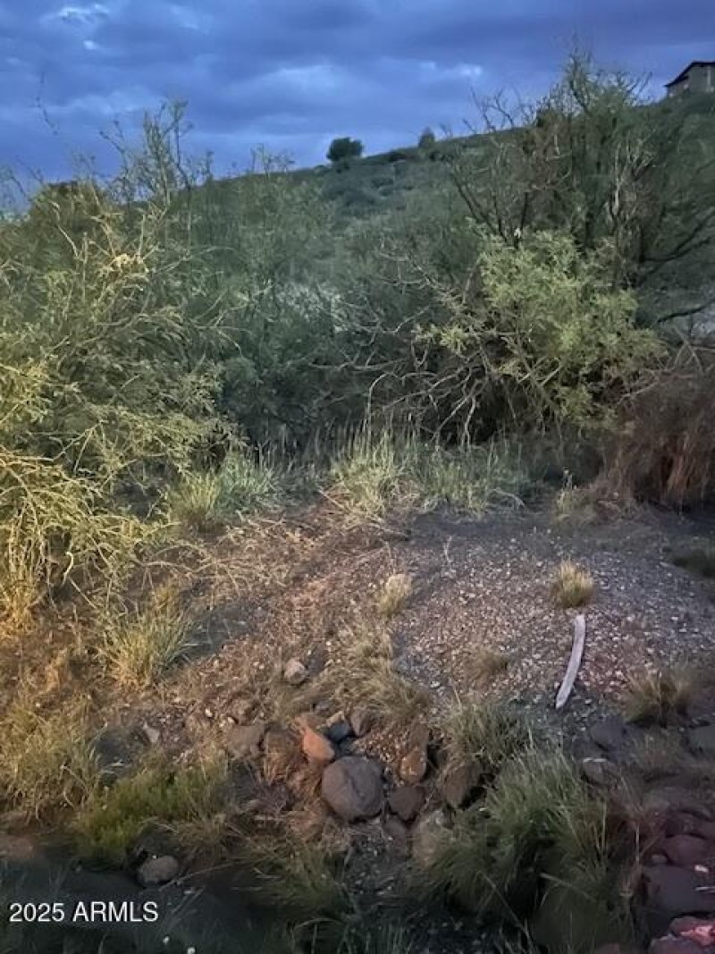 View from the street at dusk
