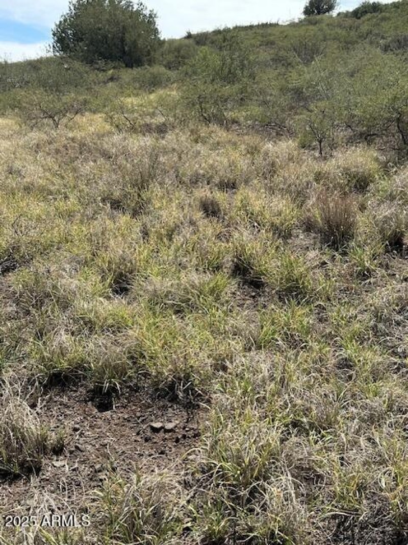 15425 E Upper Ridge Ln