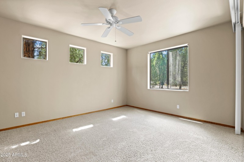 Downstairs Primary Bedroom