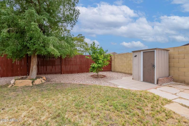 Back yard with shed
