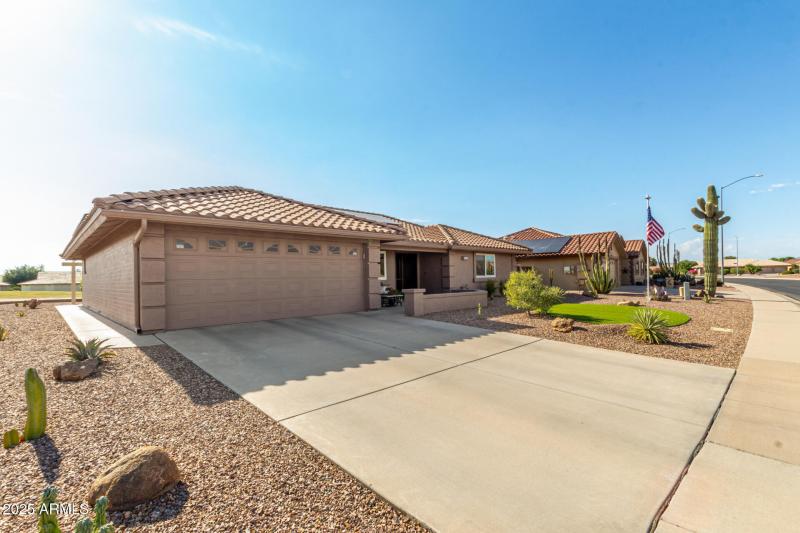 03 - Yellow Wood 2246