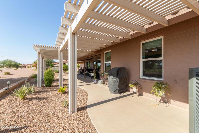 32 - Yellow Wood 2246