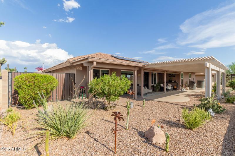 34 - Yellow Wood 2246