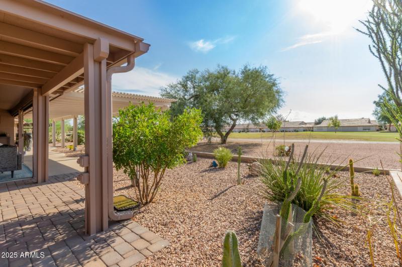 35 - Yellow Wood 2246