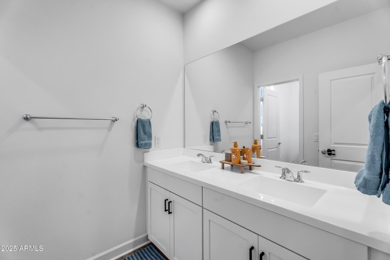 46-print-Serpentine-46