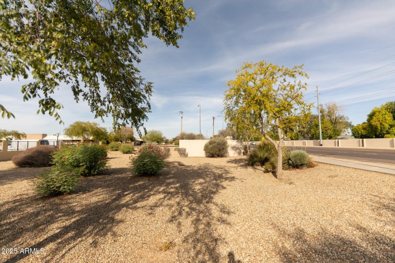 8V0A2412 10899 W Olive