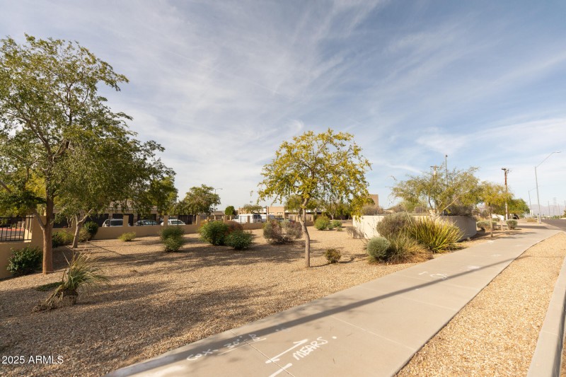 8V0A2413 10899 W Olive