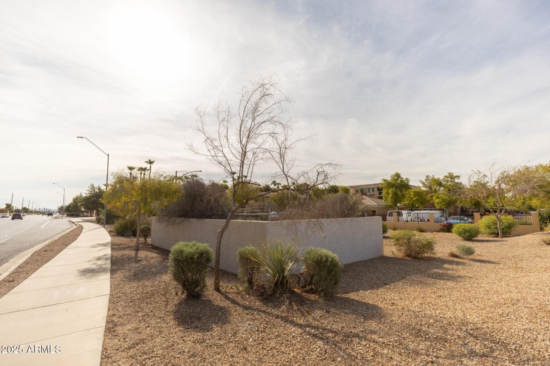 8V0A2416 10899 W Olive