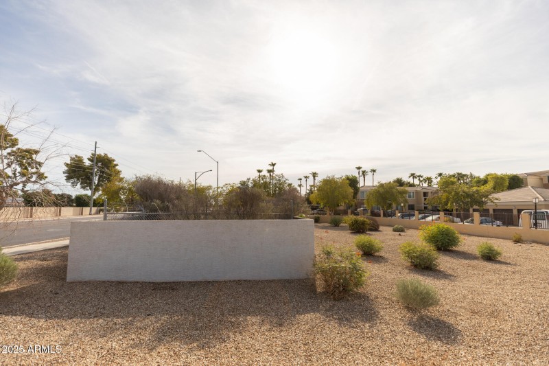 8V0A2417 10899 W Olive