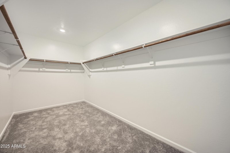 Owner's Walk in Closet