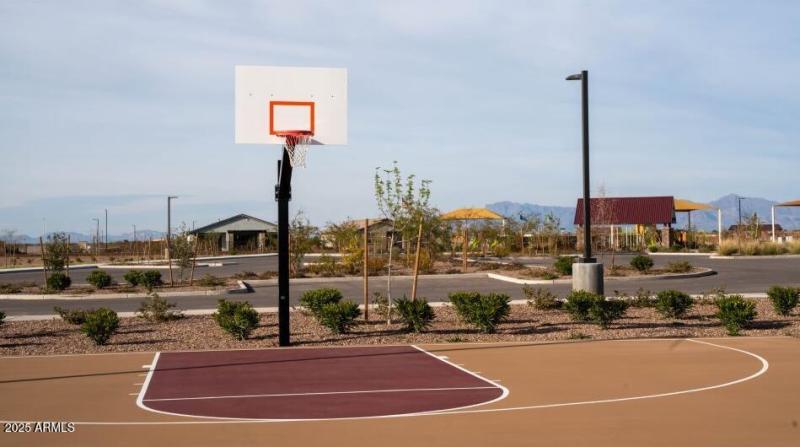Basketball Court