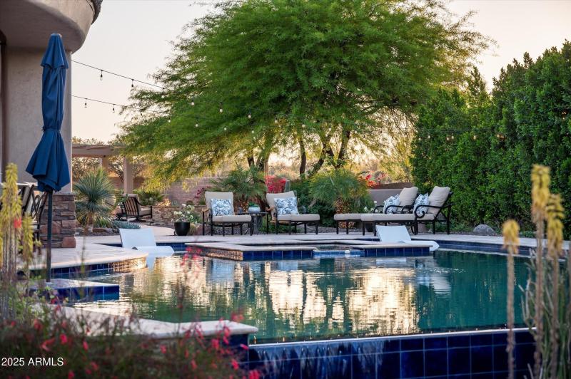 Lounge on warm AZ Days