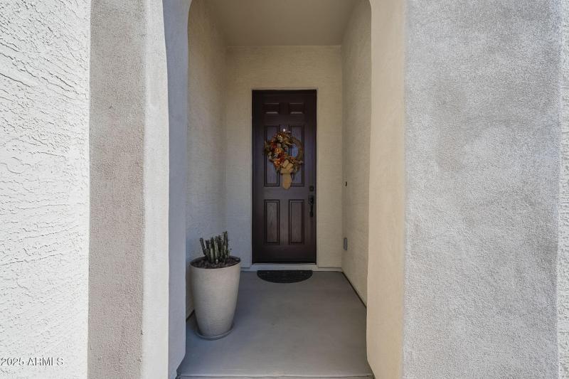 4-web-or-mls-Bullhead-7