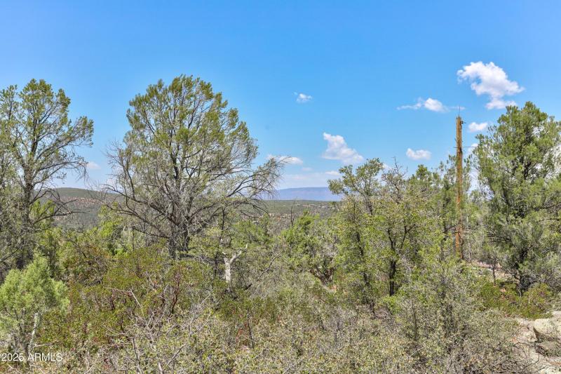 mls-1E0A5373_4_5_6_7 copy