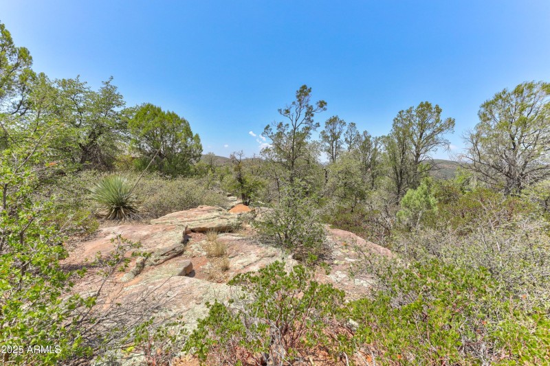 mls-1E0A5378_79_80_81_82 copy