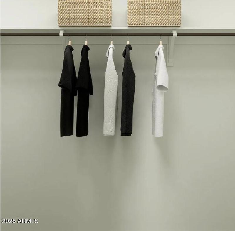 Owners Walk in Closet