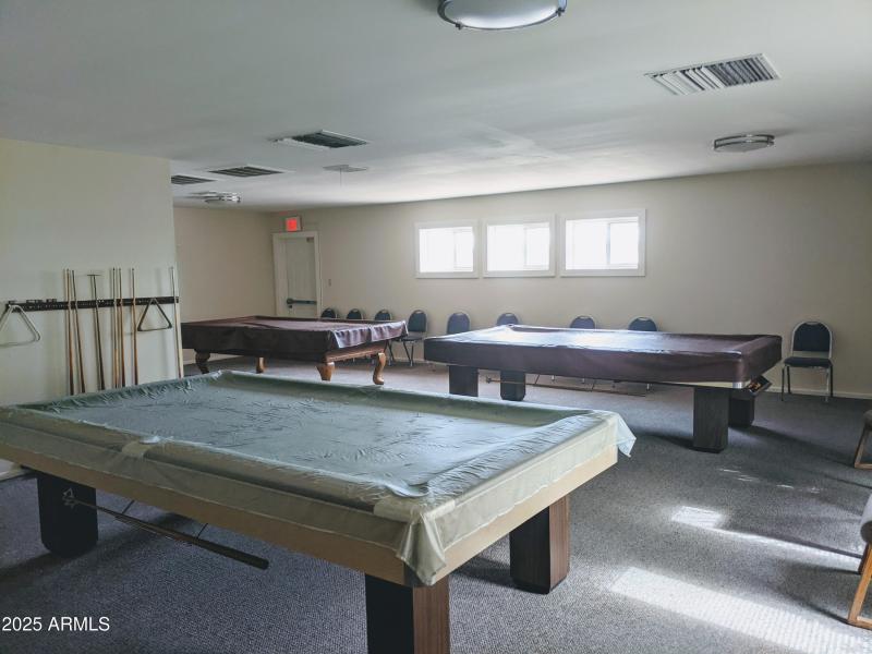 Palm Shadows-Billiard Rm