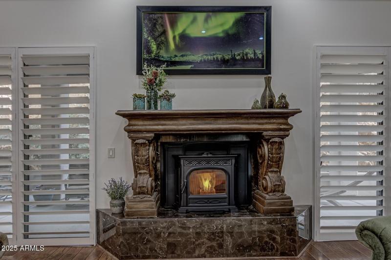 Living Room Pellet Stove