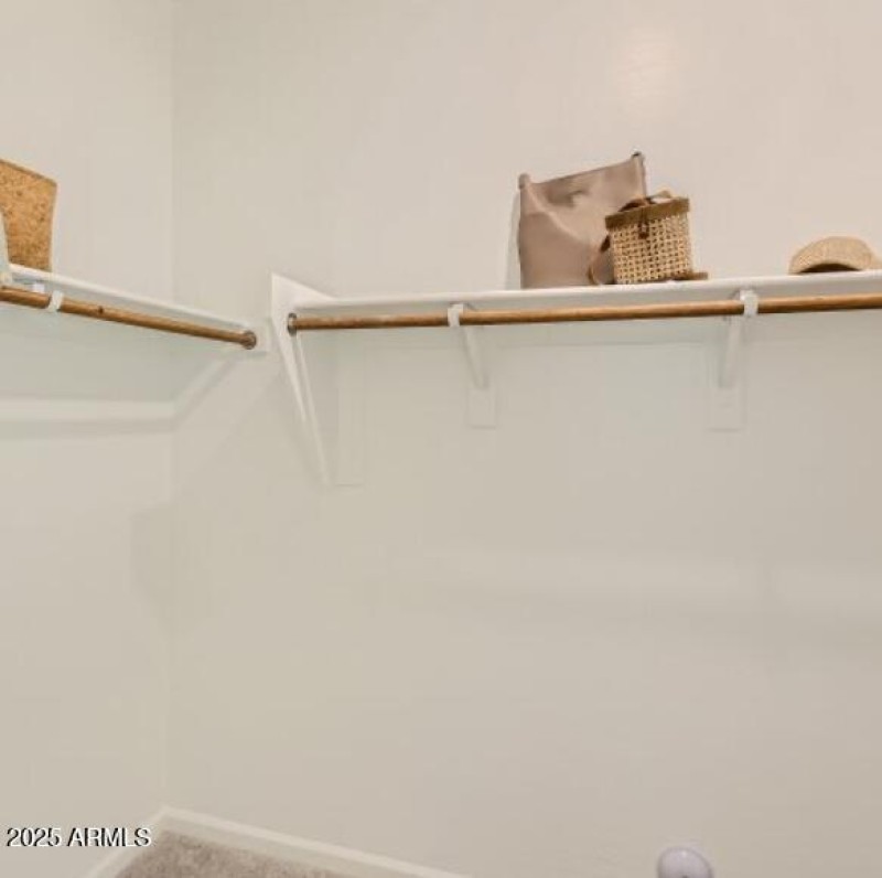 Owners Walk in Closet