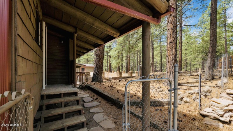 35-web-or-mls-P1154119