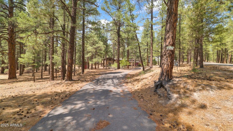 10-web-or-mls-P1164286