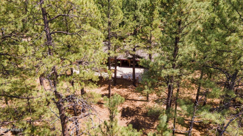 3-web-or-mls-DJI_0394