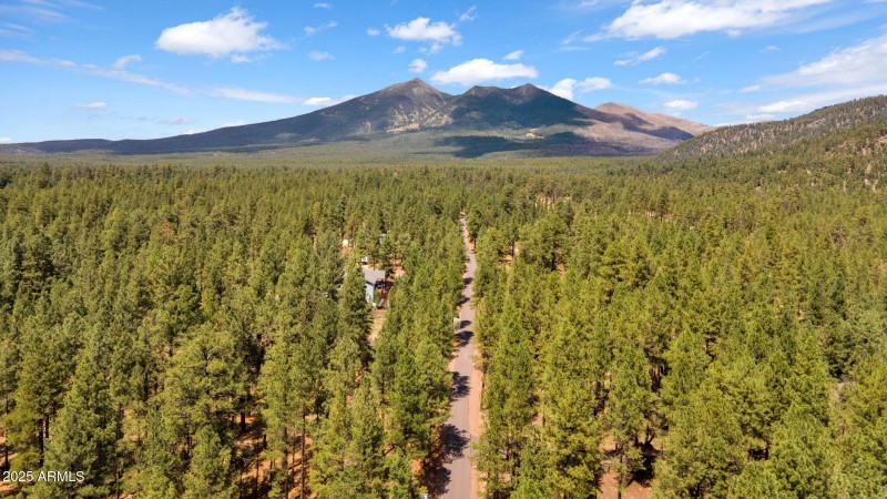 4-web-or-mls-DJI_0388