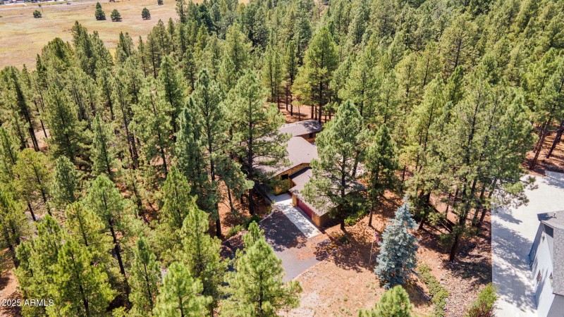 7-web-or-mls-DJI_0380