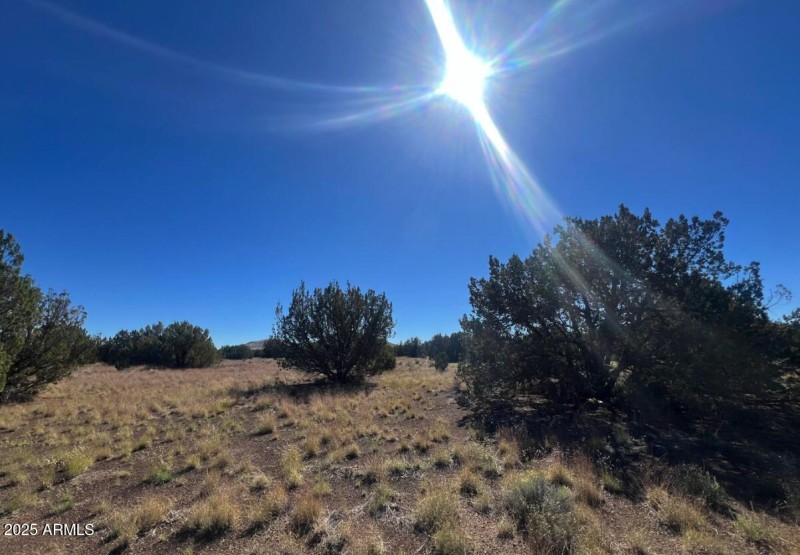 Screenshot 2025-09-05 at 3.42.27PM