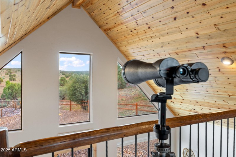 FOREST VIEW FROM THE GUEST HOUSE