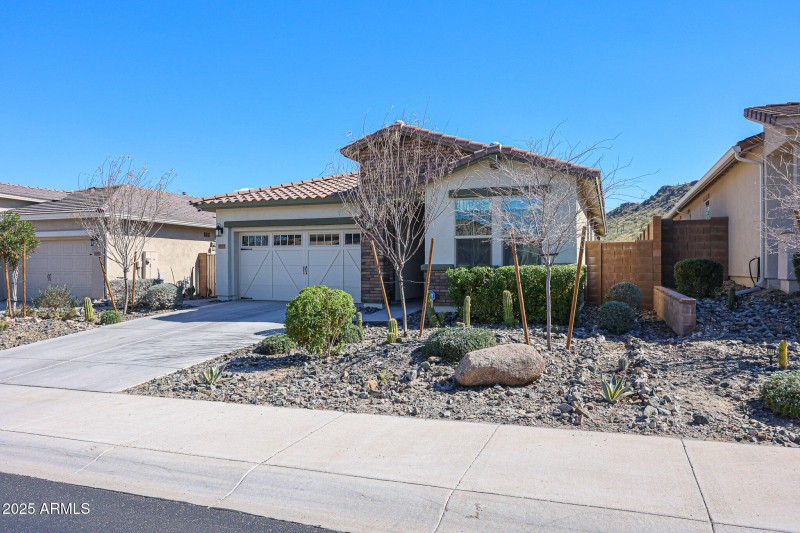 Low Maintenance Yard