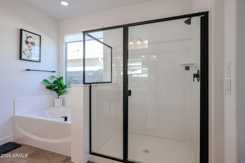 Soaking Tub and Walk-in Shower
