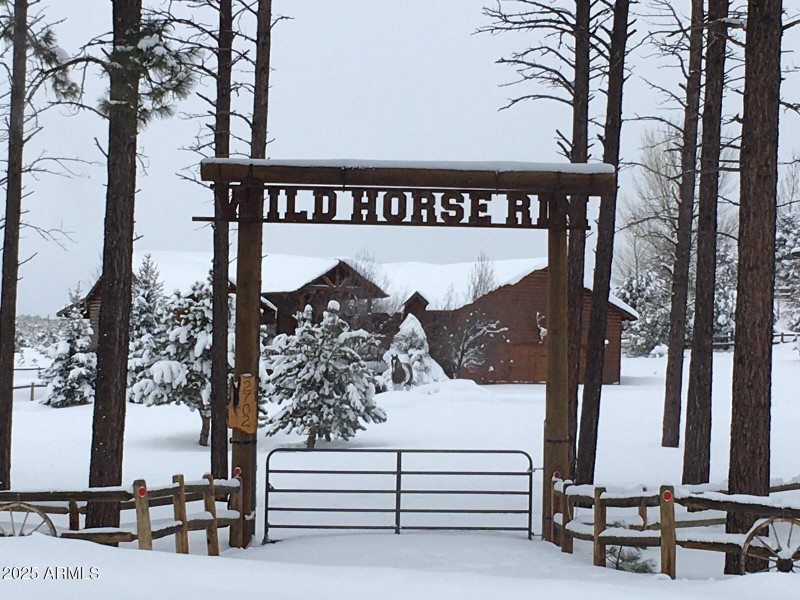 SNOWING AT THE RANCH