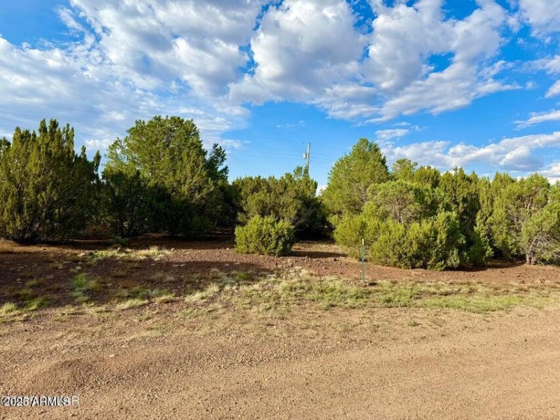 20250906015359093601000000-o