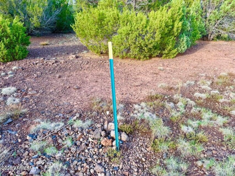 20250906015330422306000000-o