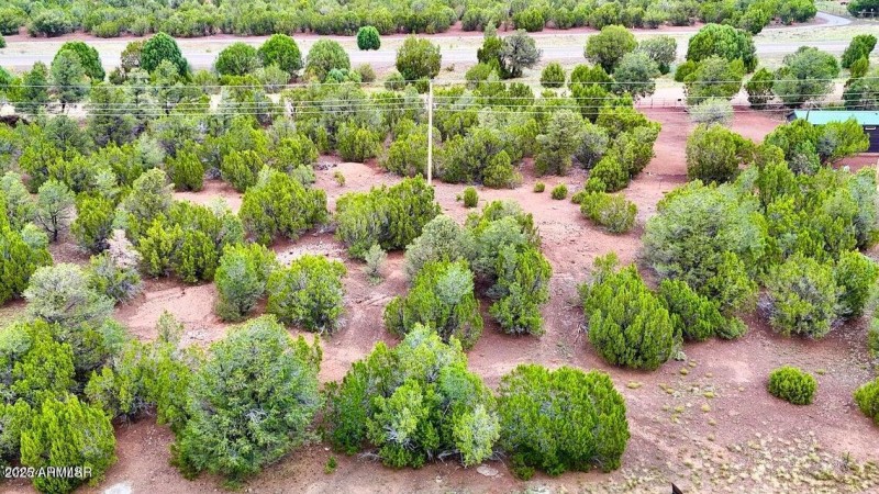 20250906013626078137000000-o